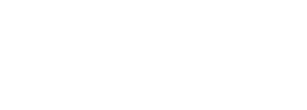 logo light